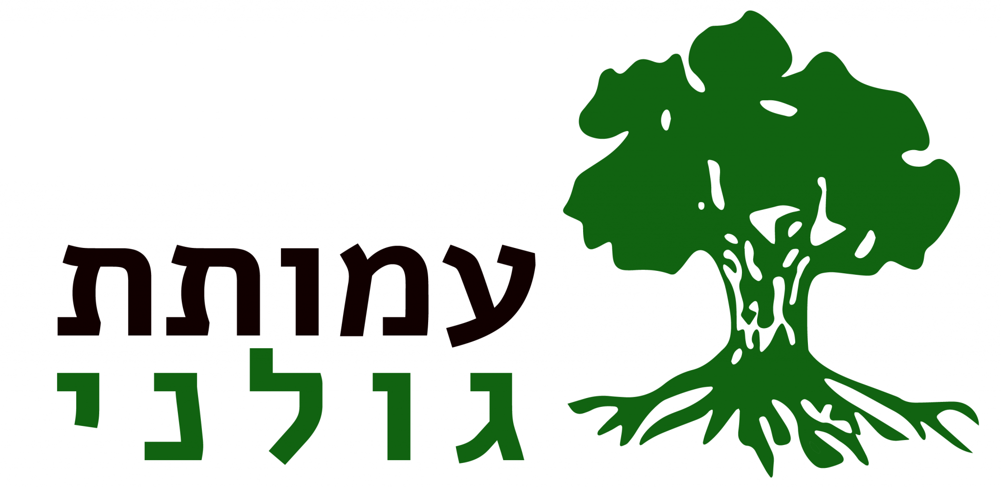 גולני להייטק - עמותת גולני